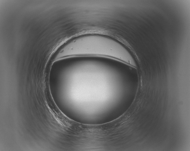 X0000077340436200610200945