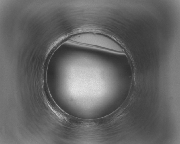 X0000077340438200610200945