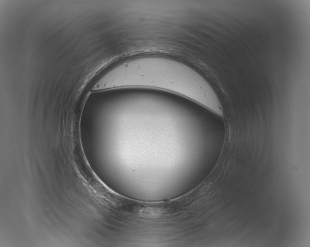 X0000077340444200610200945