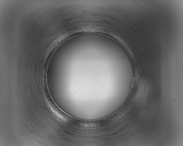 X0000077340445200610200945