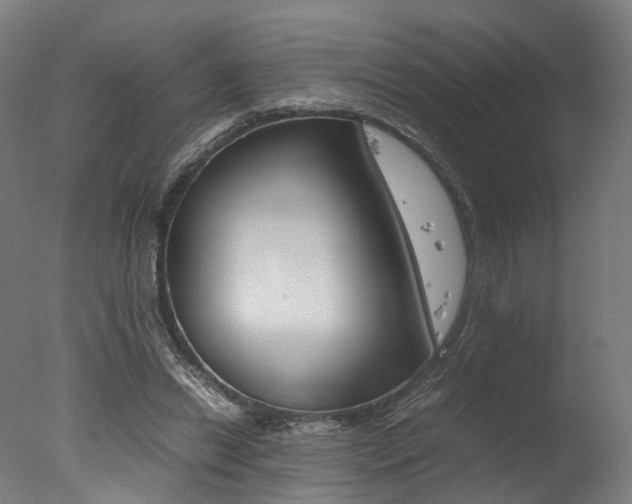 X0000077340446200610200945