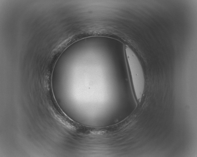 X0000077340450200610200945