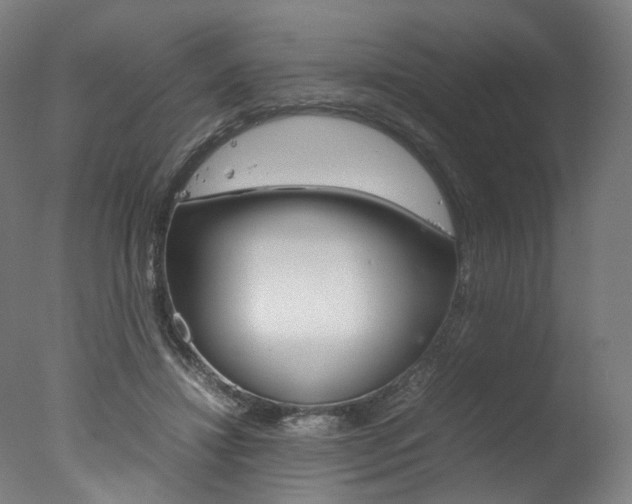 X0000077340452200610200945