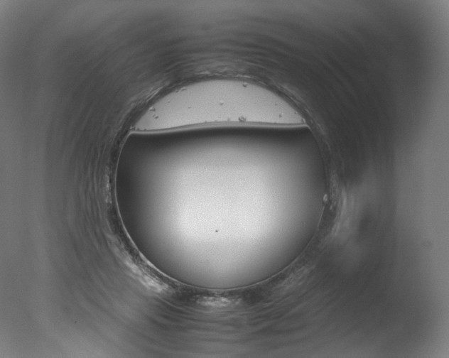 X0000077340453200610200945