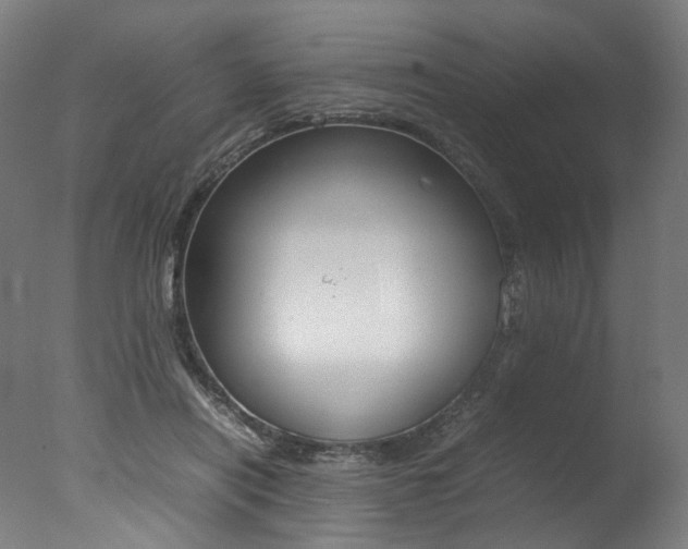 X0000077340454200610200945