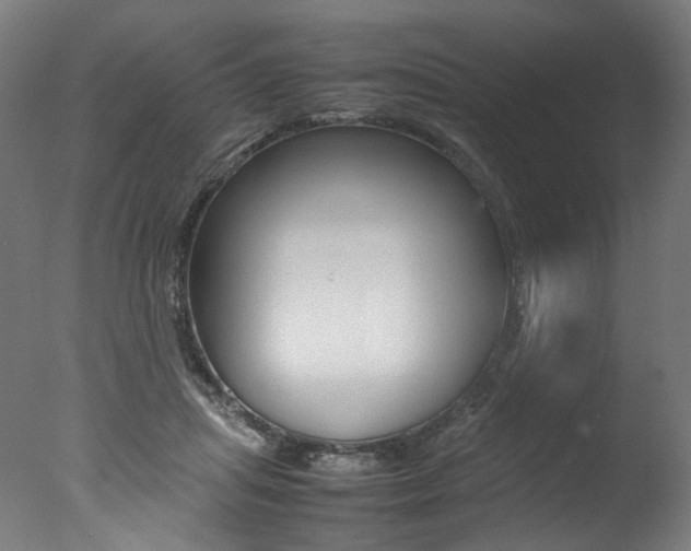 X0000077340455200610200945