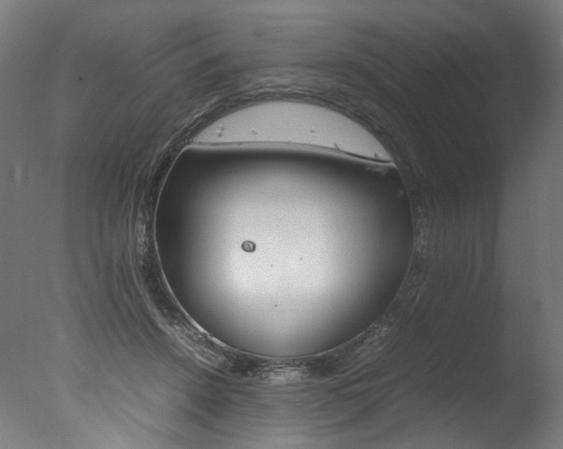 X0000077340456200610200945