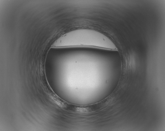 X0000077340457200610200945