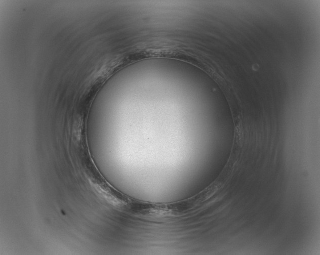 X0000077340458200610200945