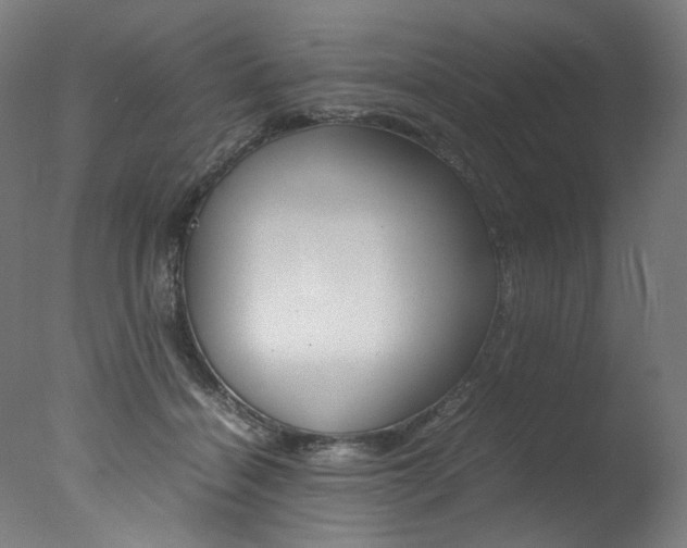X0000077340460200610200945