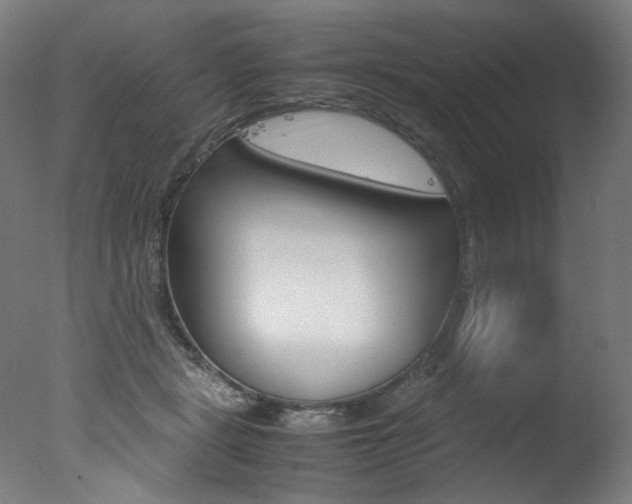 X0000077340461200610200945