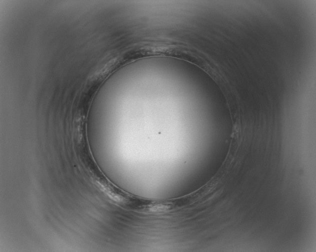 X0000077340462200610200945