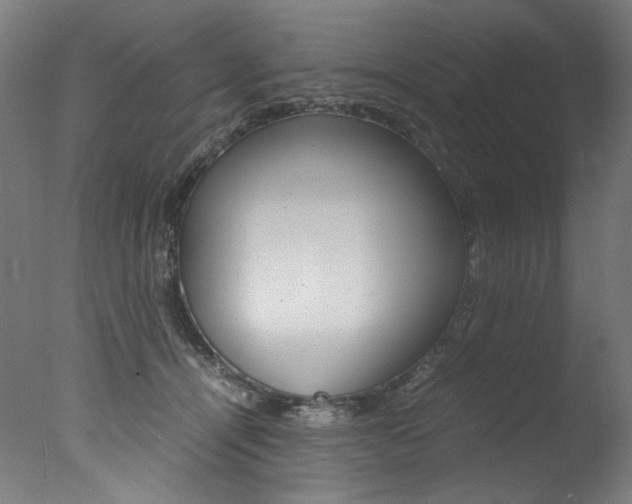 X0000077340464200610200945