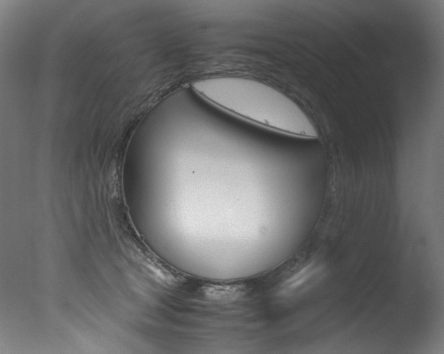 X0000077340465200610200945