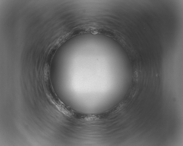 X0000077340468200610200945