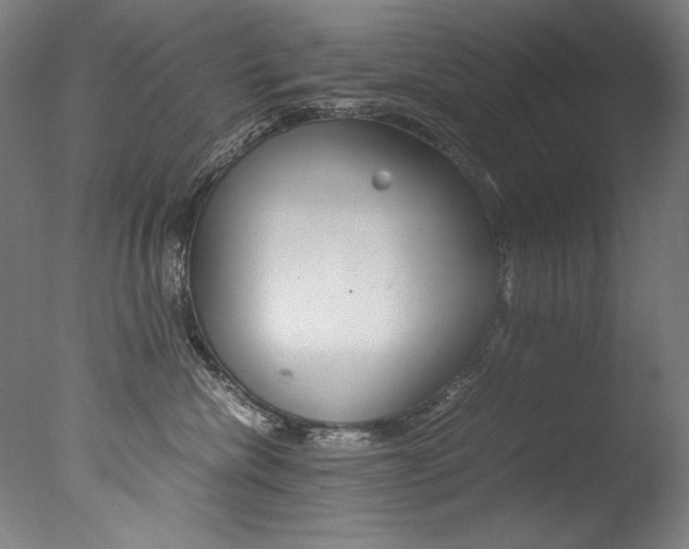 X0000077340476200610200945
