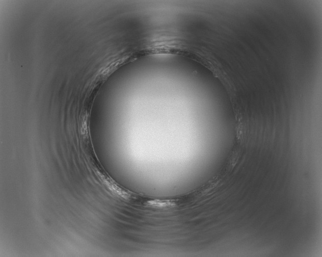 X0000077340477200610200945