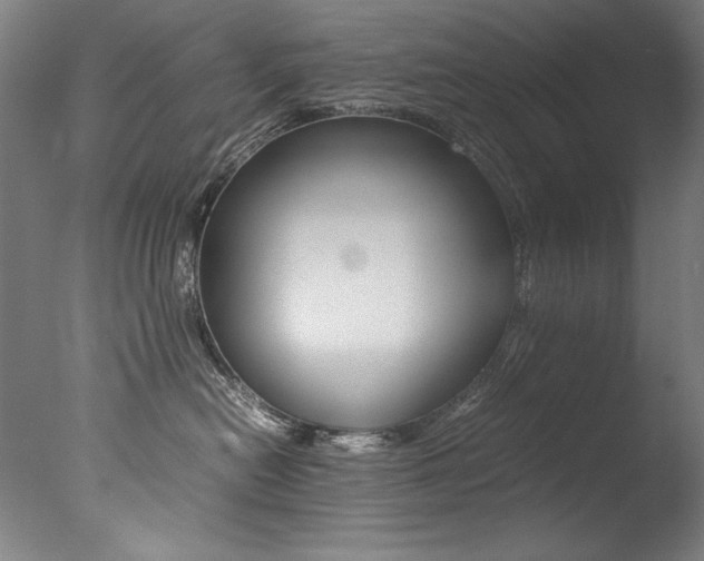X0000077340478200610200945