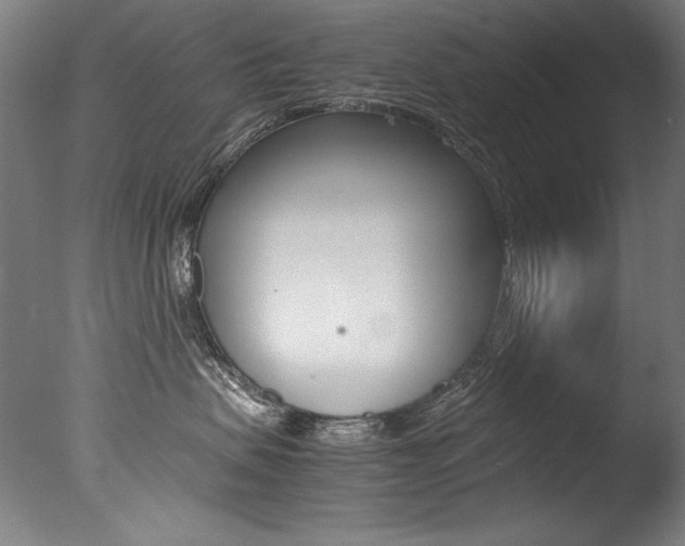 X0000077340479200610200945