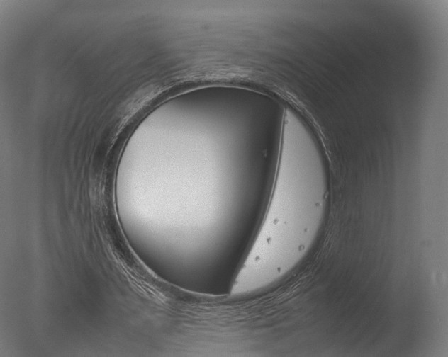 X0000077340483200610200944