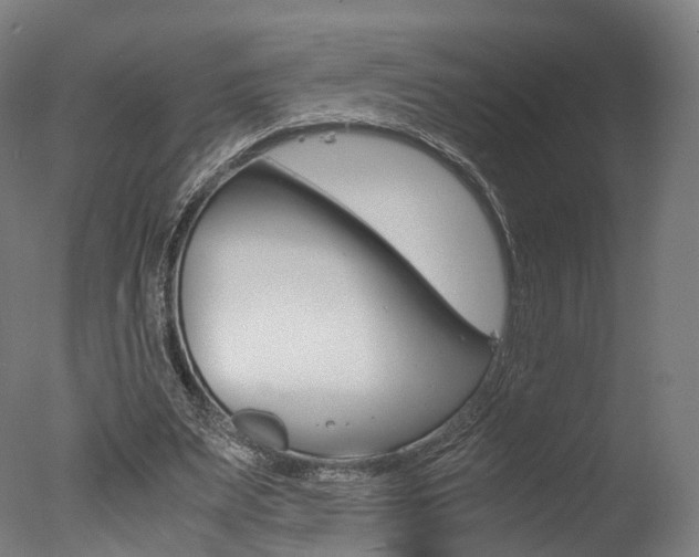 X0000077340487200610200944