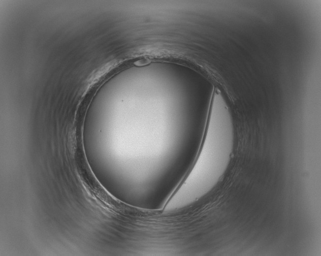 X0000077340488200610200944