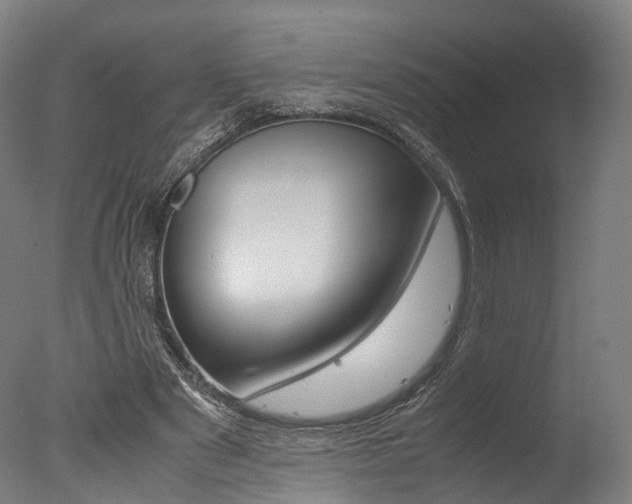 X0000077340489200610200944