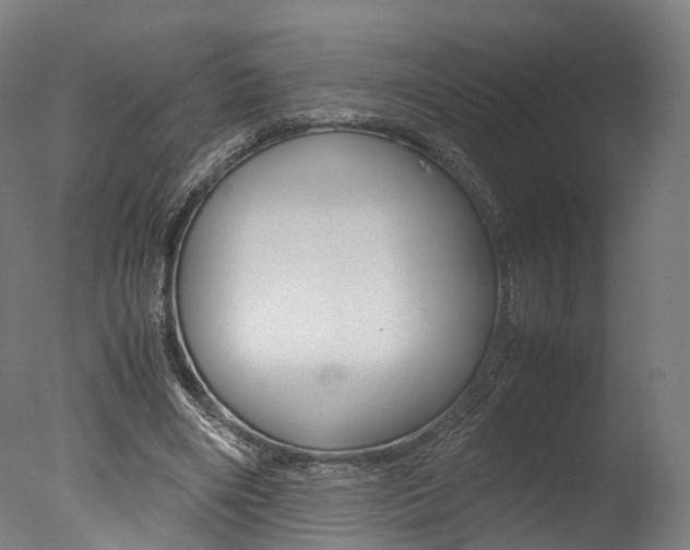 X0000077340490200610200944