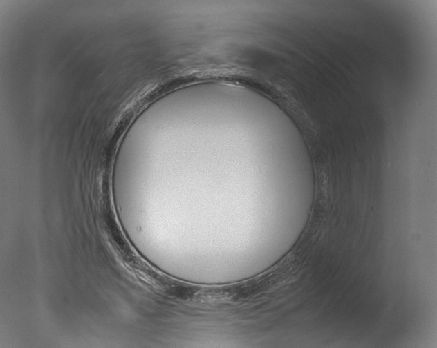 X0000077340491200610200944