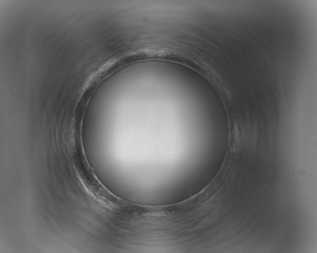 X0000077340492200610200944