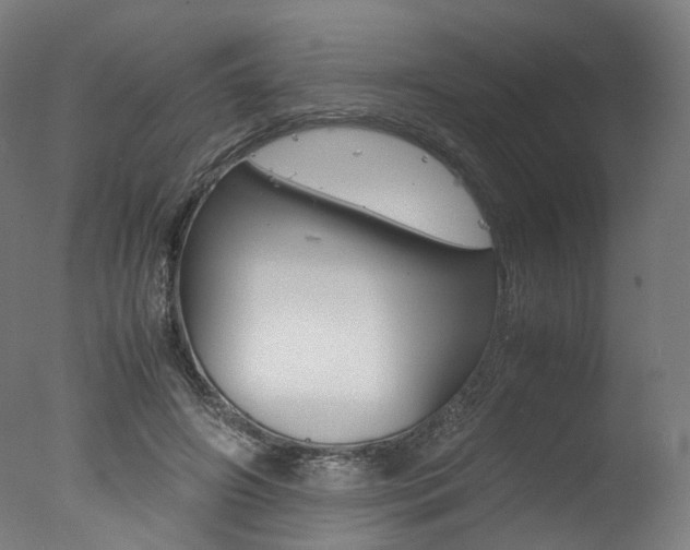 X0000077340498200610200944