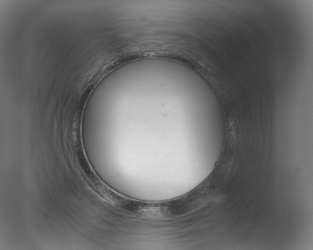 X0000077340499200610200944