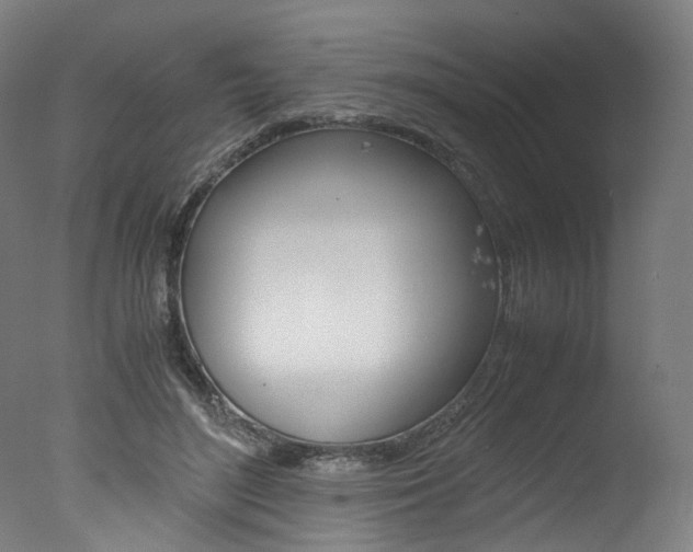 X0000077340500200610200944