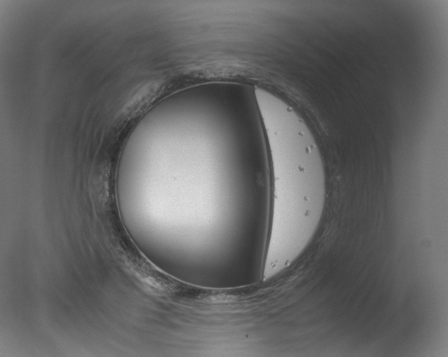 X0000077340501200610200944
