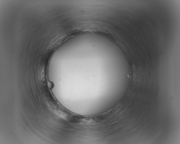 X0000077340502200610200944