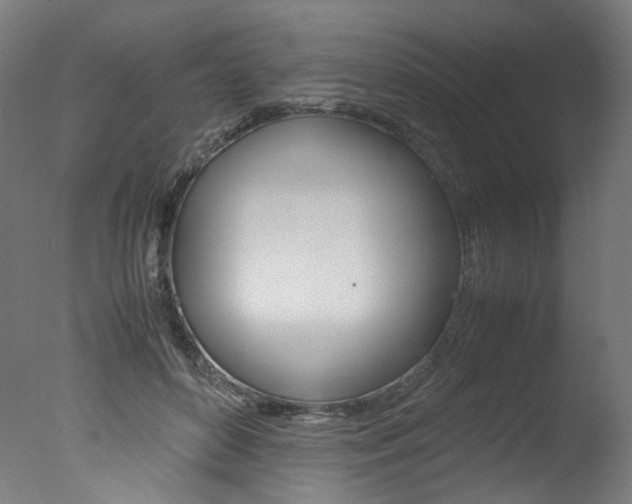 X0000077340504200610200944