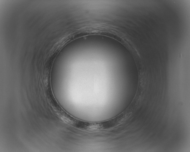 X0000077340505200610200944