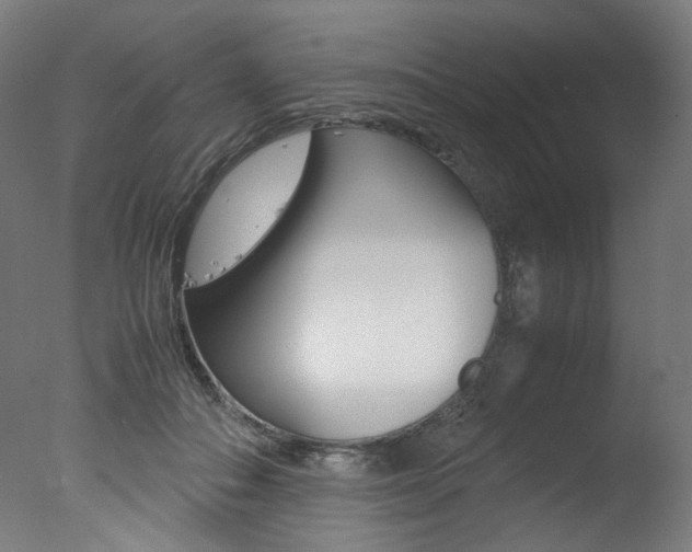 X0000077340506200610200944