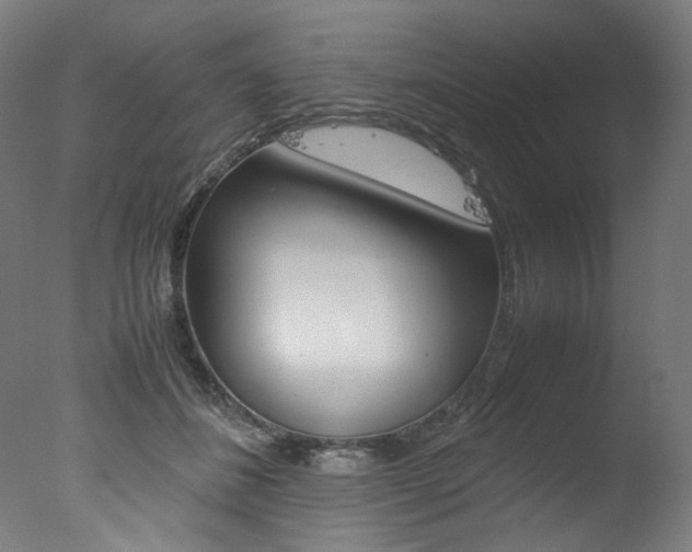 X0000077340508200610200944