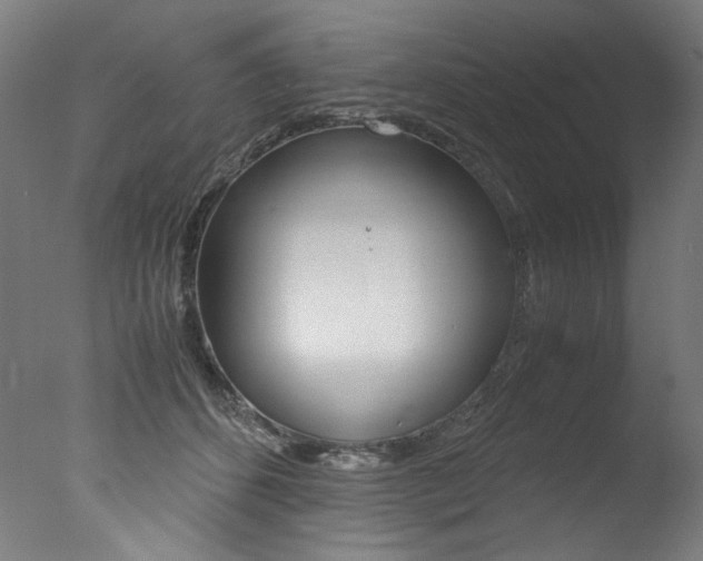 X0000077340512200610200944