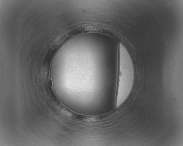 X0000077340513200610200944