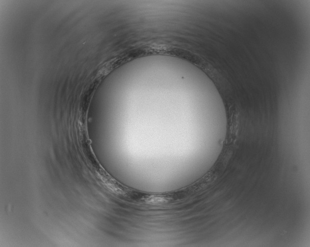 X0000077340518200610200944