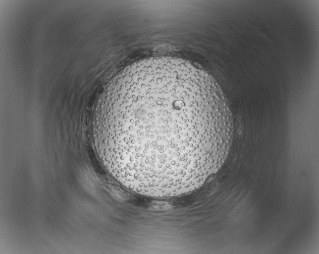 X0000077340519200610200944