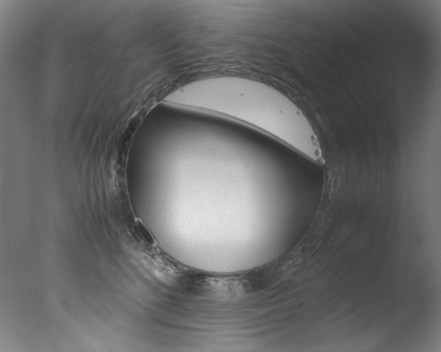 X0000077340520200610200944