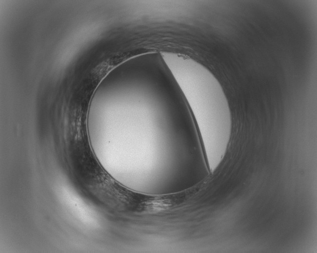 X0000077340525200610200944