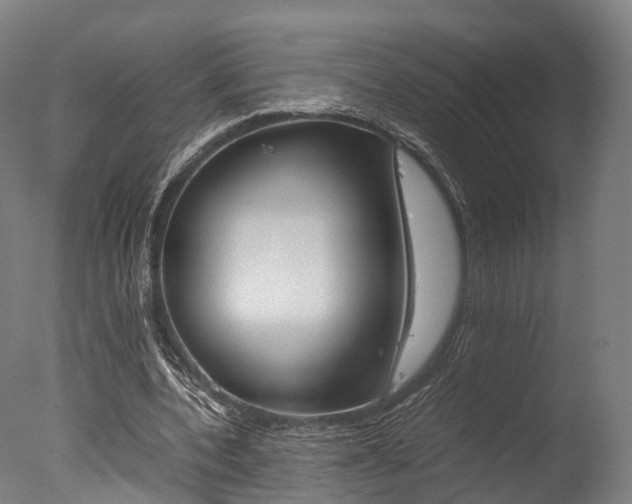 X0000077340532200610200943
