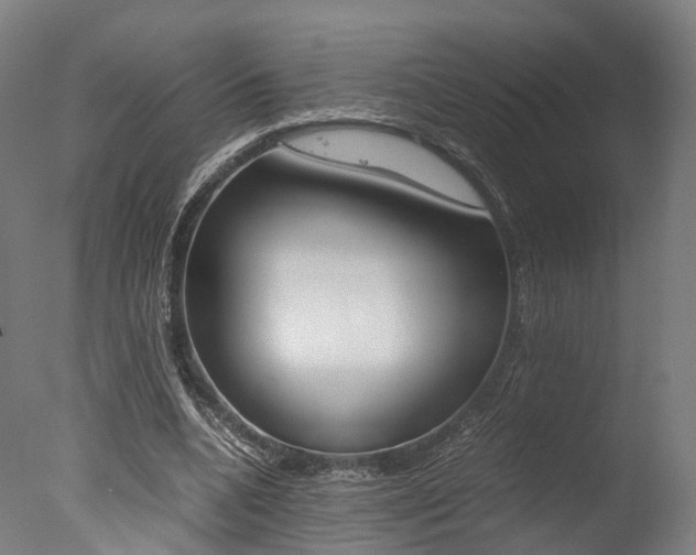 X0000077340536200610200943