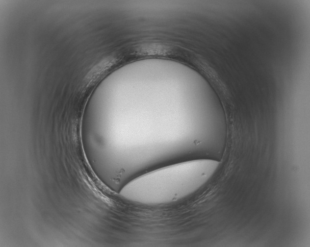 X0000077340537200610200943