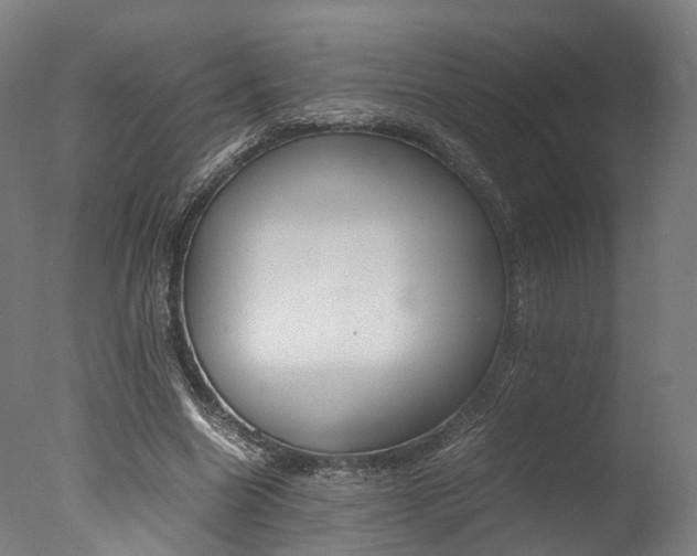 X0000077340538200610200943