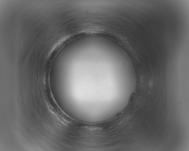 X0000077340539200610200943